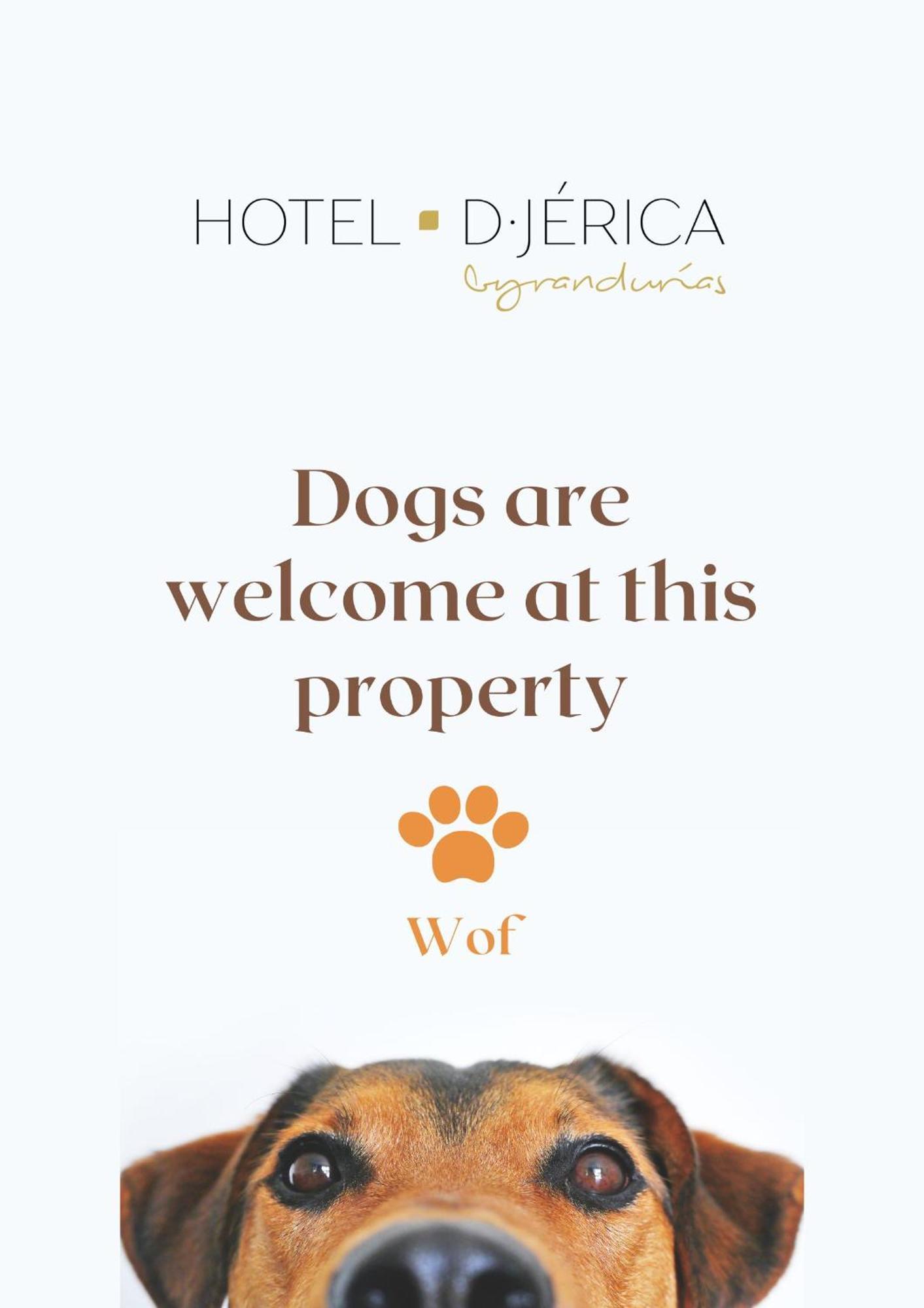 Hotel De เฆริกา ภายนอก รูปภาพ